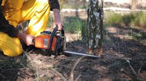 Best Lawn Drainage Solutions  in Rinna, VA