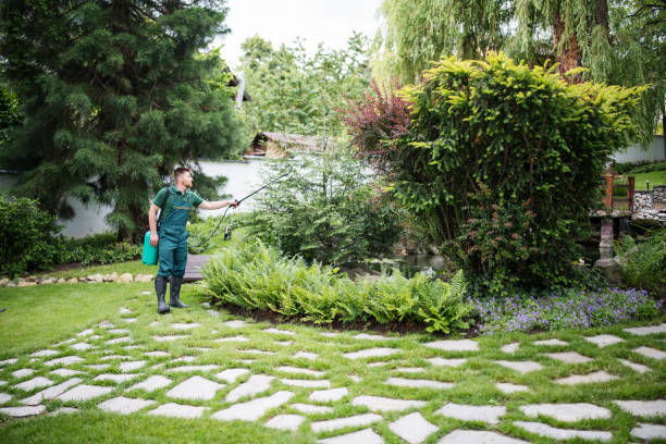 Best Lawn Mowing  in Rinna, VA